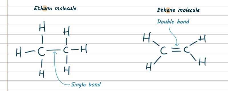 Diagrams of two hydrocarbons. Ethane has two carbon atoms connected together with a single line like a minus sign, meaning a single bond. Each carbon has three hydrogens attached. Ethene has two carbon atoms connected with an equals sign, indicating a double bond. Each carbon atom has 2 hydrogen atoms attached.